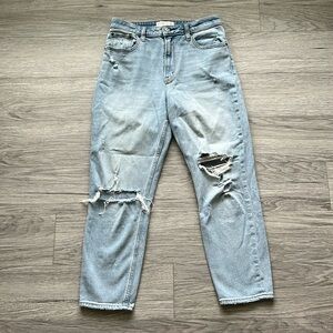 Abercrombie & Fitch The Mom High Rise Jeans Size 28 6R